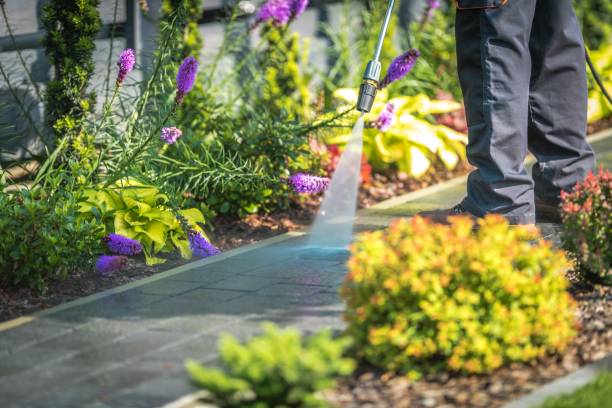 Best Driveway Pressure Washing  in Jacksonville, FL
